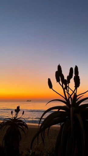 Seaside Serenity